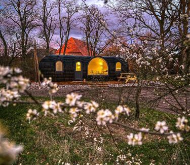 Amt Neuhaus Casa | Rüdehof