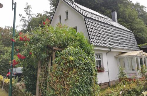 Bergen auf Ruegen Apartamento | Rügen Fewo 91 Buchenwinkel