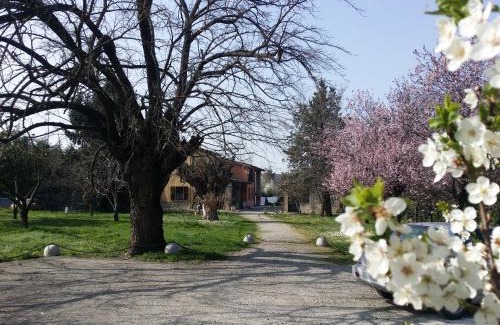 Scarzara Cama Y Desayuno | R&B Albero Cavo Parma