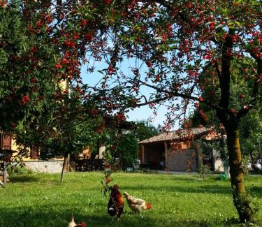 Scarzara Cama Y Desayuno | R&B Albero Cavo Parma