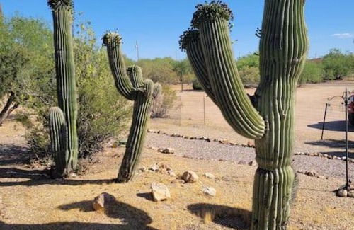 Picture Rocks Casa | R&R in Saguaro Natl Park