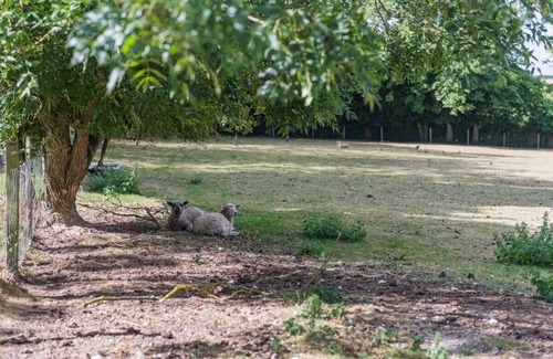 Martin Casa | Rabbit Hole by Keepers Cottages