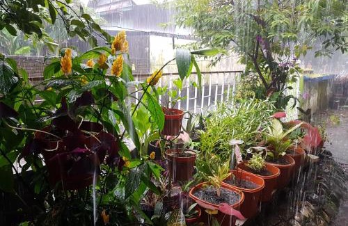 Makassar Casa | Radinka House