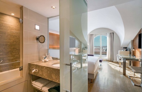 Besiktas Hotel | Radisson Blu Bosphorus Hotel, Istanbul