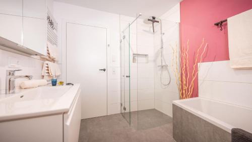 Abtenau Apartamento | Radochsbergloft
