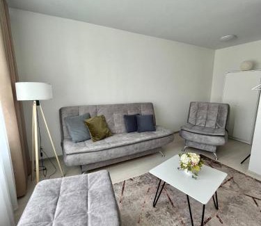 Radviliskis Apartamento | Radvilų apartamentai