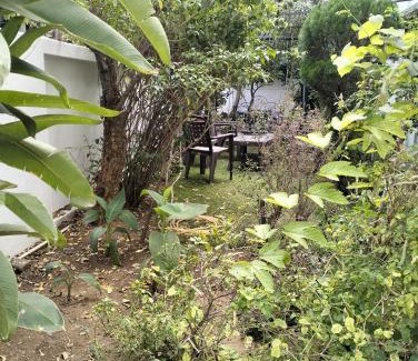 Nagpur Casa | Raen Basera Home Stay