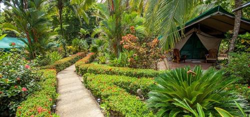 Savegre Cama Y Desayuno | Rafiki Beach Camp