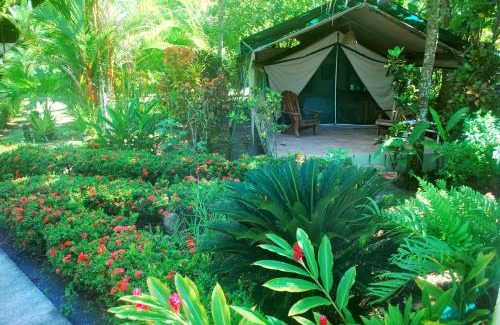 Savegre Cama Y Desayuno | Rafiki Beach Camp