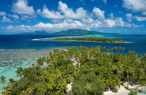 Teahupoo Casa | RAIATEA - Fare Fetii