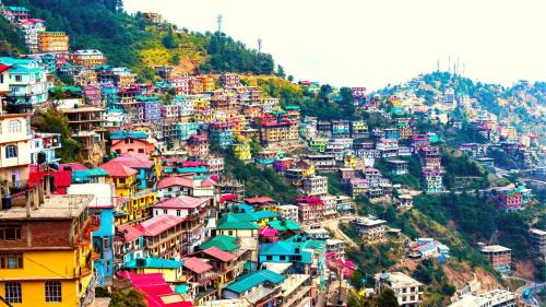 Shoghi Hotel | Raikot Resort