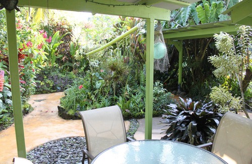 Keaau Apartamento | Lluvia Apartamento Bosque!