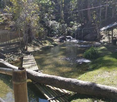 Ringlet Cabina | Rain Forest Inn