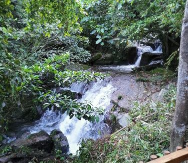 Ringlet Cabina | Rain Forest Inn