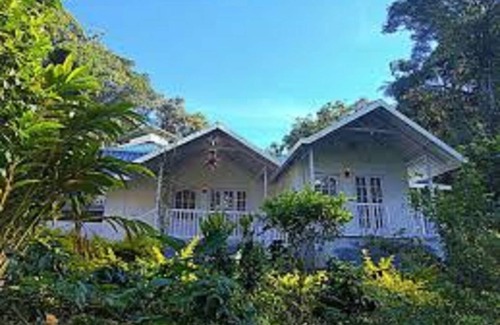 Devikolam Cabaña | Rain Forest Resort - Munnar