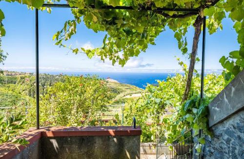 Lombada Velha Casa | Rainbow Cottage by Homie