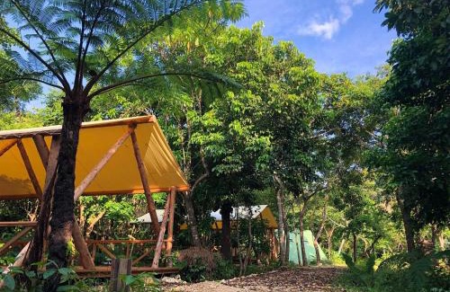 Ishigaki Otro | RAINBOW FOREST Permaculture filed - Vacation STAY 78984v