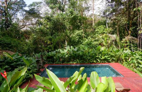 Palma Quemada Cabina | Rainbow Lodge Costa Rica