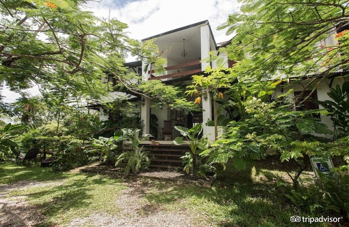 Naranjo Casa | Rainforest Eco Lodge 7 bd / Mountain Paradise Puerto Rico