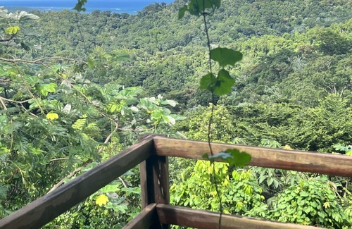 Naranjo Casa | Rainforest Eco Lodge 7 bd / Mountain Paradise Puerto Rico