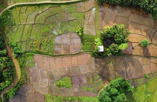 Kotapola Villa | Rainforest view villas & Tours