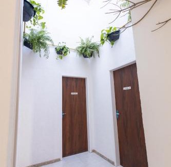 Atalaia Villa | Raizes