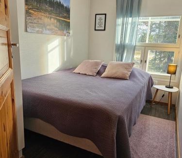 Saariselka Apartamento | Rakovalkia Apartment