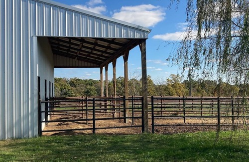 Siloam Springs Casa | Ranch time w Bronco & Betsey!