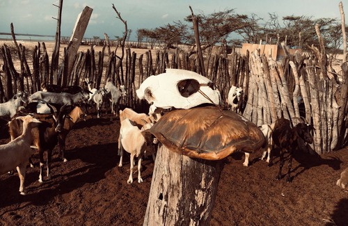 La Guajira Cabaña | Rancherías Indigenas Wayuu - Reserva Nacional Natural.