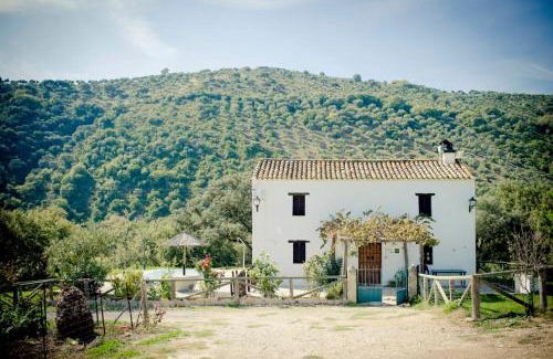 Prado del Rey Casa | Rancho Calvillo