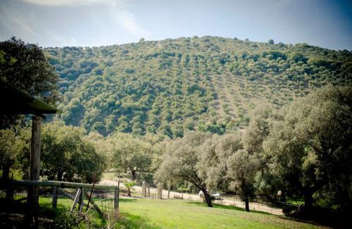 Prado del Rey Casa | Rancho Calvillo