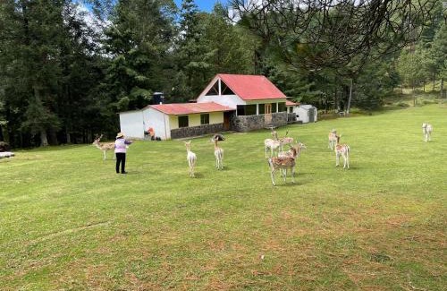 Jimenez Otro | Rancho Ecológico El Mirador
