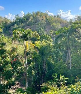 El Limon Otro | Rancho Romana Treehouse F04
