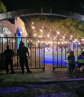 Saucillo Otro | Rancho San Esteban Eventos