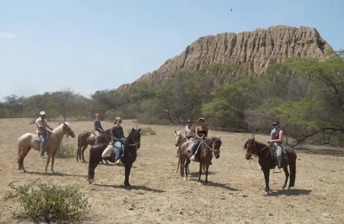 Pacora Otro | Rancho Santana Peru