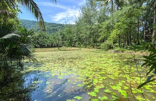 Kapoe Complejo | Ranong Resort and Laguna