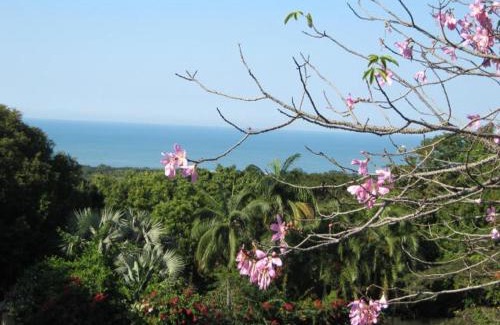 Mtunzini Apartamento | raphia on sea