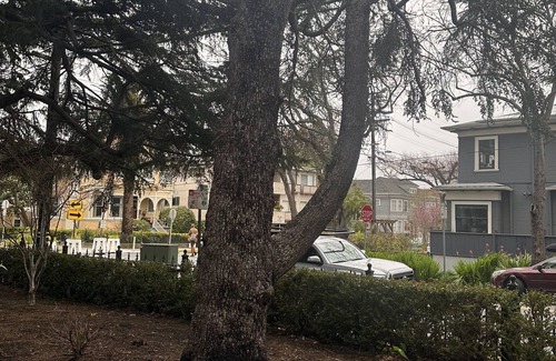 Downtown Berkeley Apartamento | Rare 2 Bedroom Near UC Berkeley
