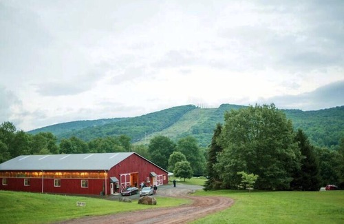 Delhi Casa | Rare Gem! Hike to the Summit of Bramley Mountain Trail! FREE Parking!