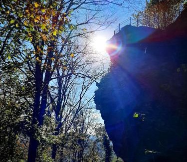 Bruchweiler-Baerenbach Casa | Rausblick Cabin