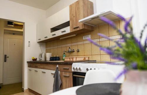 Palic Apartamento | Ravena