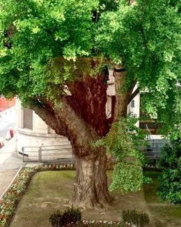 Ravenna Apartamento | Ravenna Suite