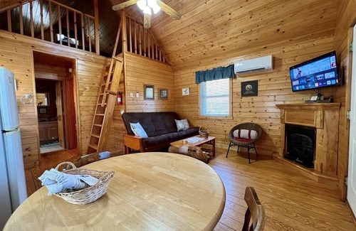 Laurel Springs Cabina | Cerca de Blue Ridge Parkway, se aceptan mascotas Cabina con vista de largo alcance Mtn y estanque, Gas Frpl