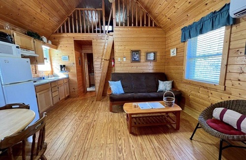 Laurel Springs Cabina | Cerca de Blue Ridge Parkway, se aceptan mascotas Cabina con vista de largo alcance Mtn y estanque, Gas Frpl