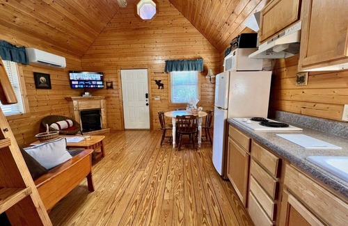 Laurel Springs Cabina | Cerca de Blue Ridge Parkway, se aceptan mascotas Cabina con vista de largo alcance Mtn y estanque, Gas Frpl