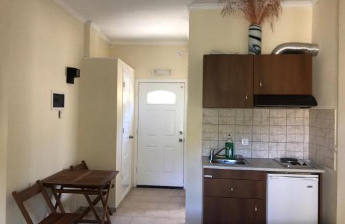 Armenistis Apartamento | Raxes Kastanies Despina Studios # 4