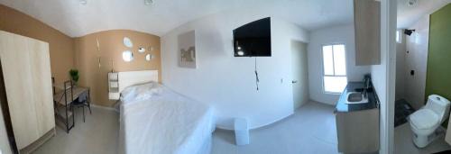 León Apartamento | RC Studio loft san Jerónimo