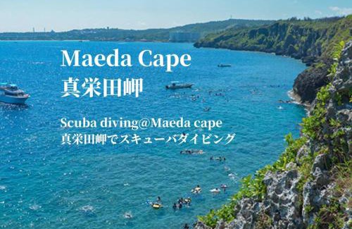 Maeganeku Apartamento | 【Re-Opening Sale】PIA Prince Prage/Top floor O/view