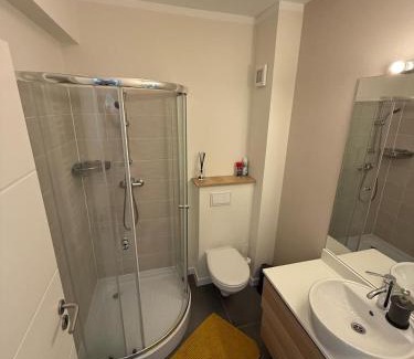 Sibiu Apartamento | Ready to use