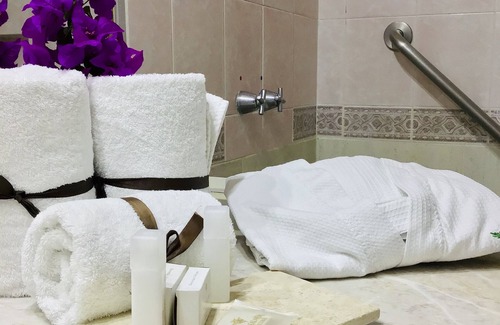 Centro de Querétaro Hotel | Real de Minas Tradicional